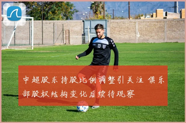 中超股东持股比例调整引关注 俱乐部股权结构变化后续待观察