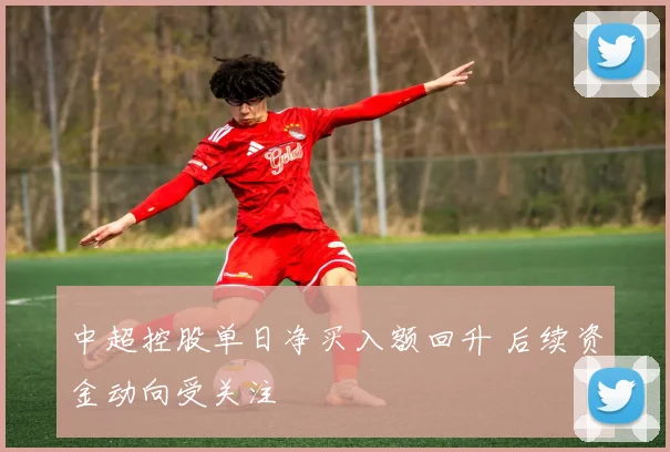 中超控股单日净买入额回升 后续资金动向受关注