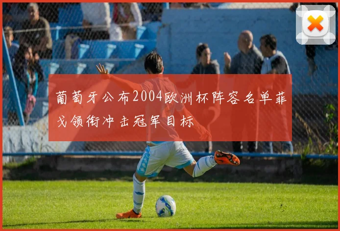 葡萄牙公布2004欧洲杯阵容名单菲戈领衔冲击冠军目标