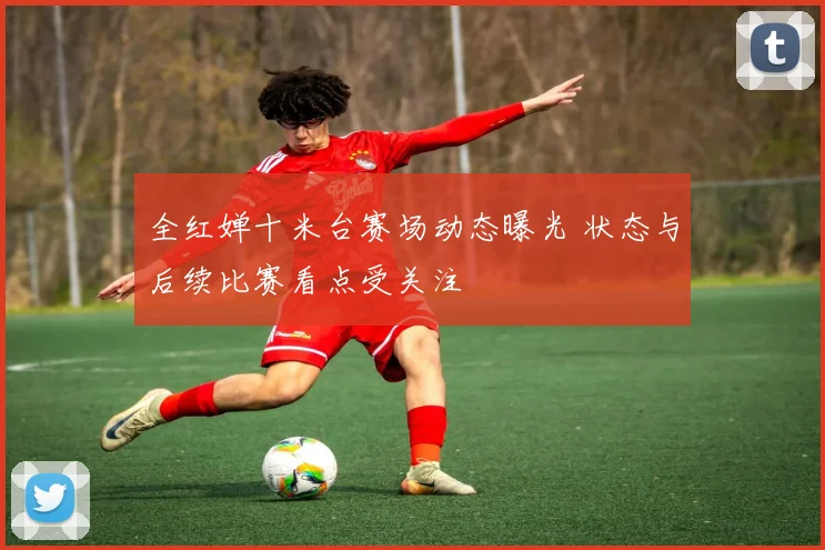 全红婵十米台赛场动态曝光 状态与后续比赛看点受关注
